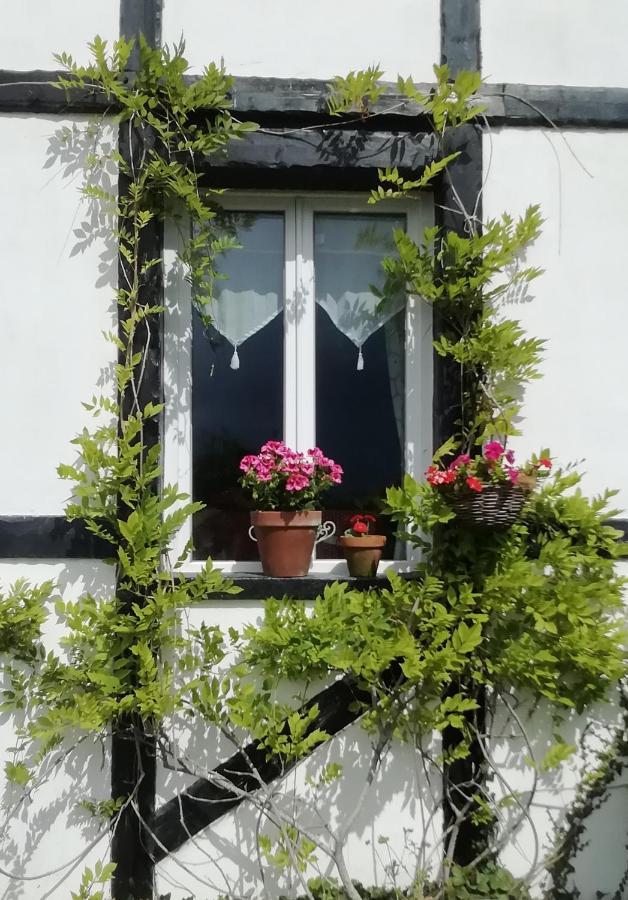 The Old Cider Press Villa Carnoet ภายนอก รูปภาพ